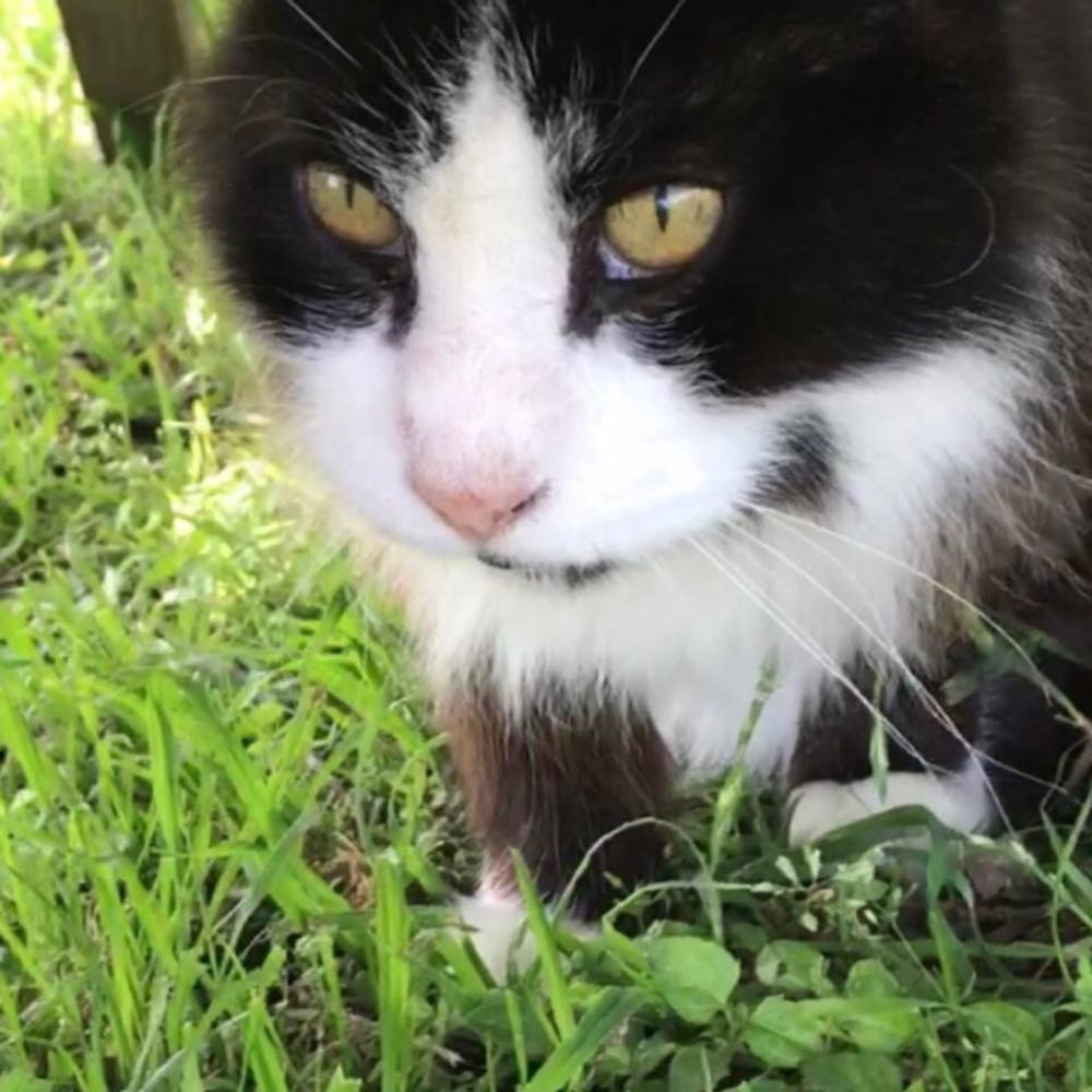 Meet your Posher, Pamela